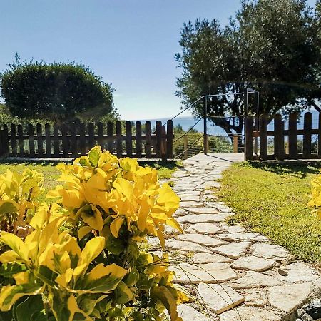 Bed And Breakfast Nefer Maratea Exterior photo