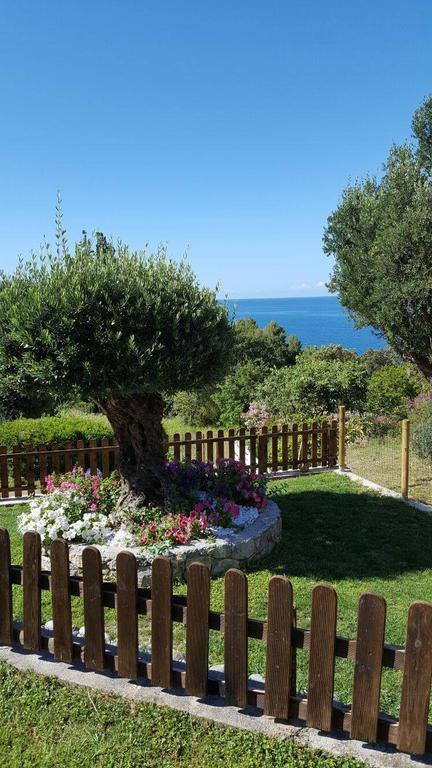 Bed And Breakfast Nefer Maratea Exterior photo