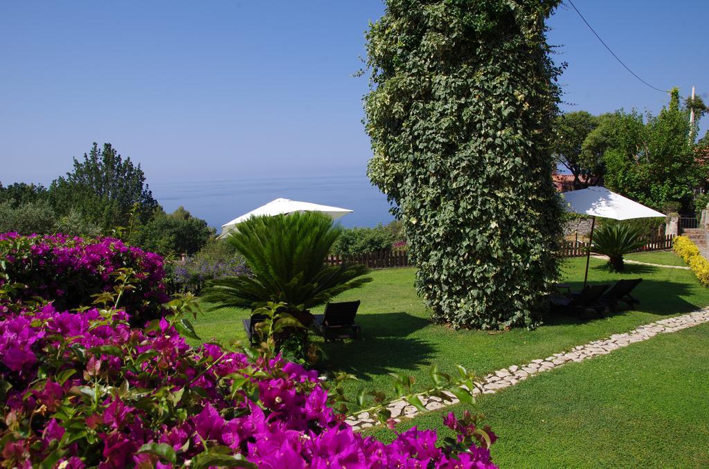 Bed And Breakfast Nefer Maratea Exterior photo